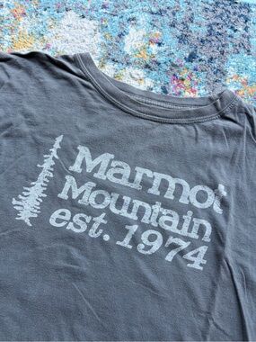 Y2K Marmot shirt